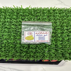 شناذره ابو حامد