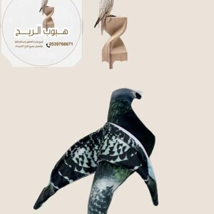 ملواح حمامه دمية