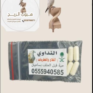 القلاع والفطريات النداوي