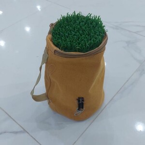 وكر رملي واقف