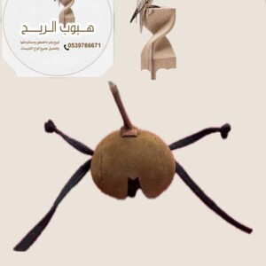 برقع باكستاني